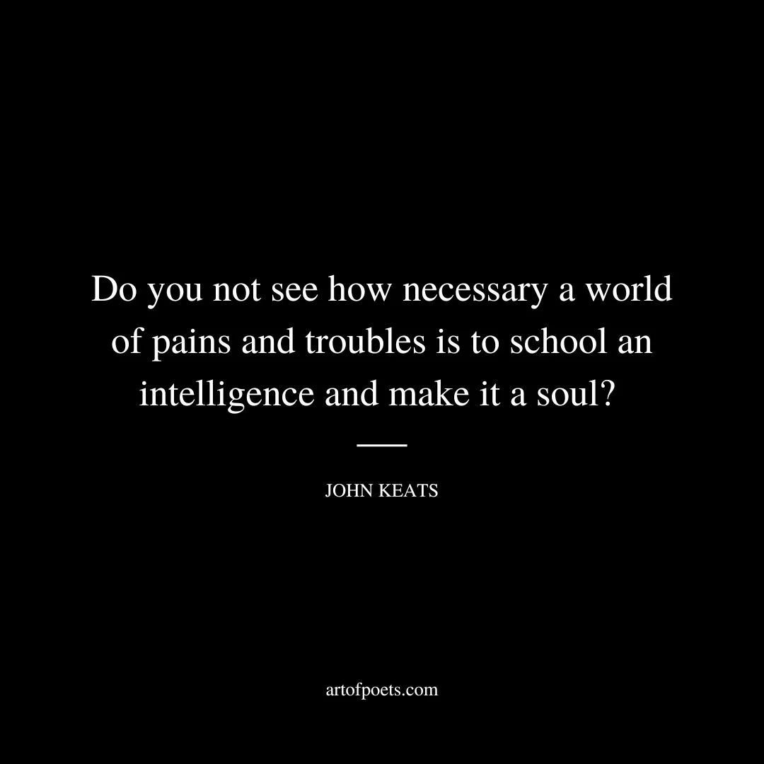 Do you not see how necessary a world of pains and troubles is to school an intelligence and make it a soul? - John Keats