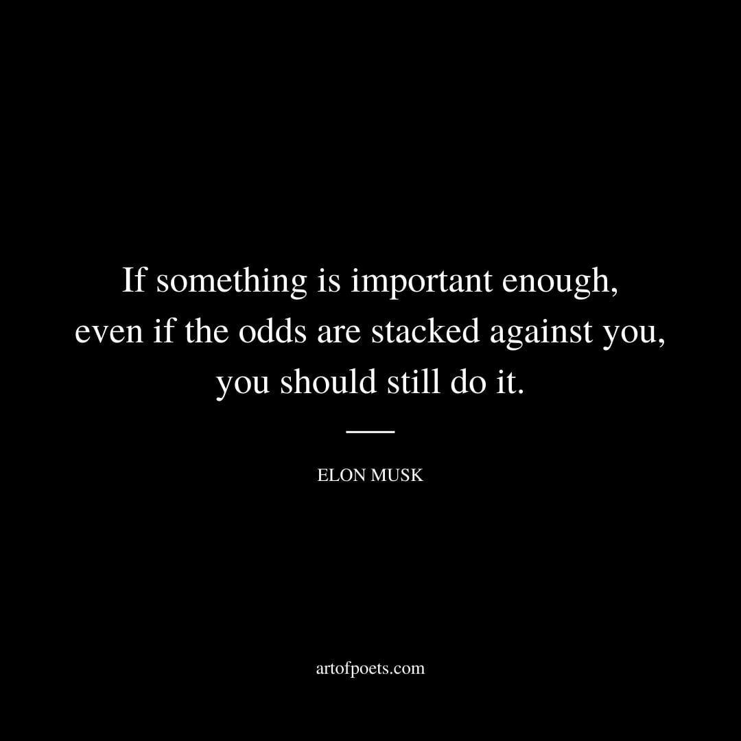 If something is important enough, even if the odds are stacked against you, you should still do it. - Elon Musk
