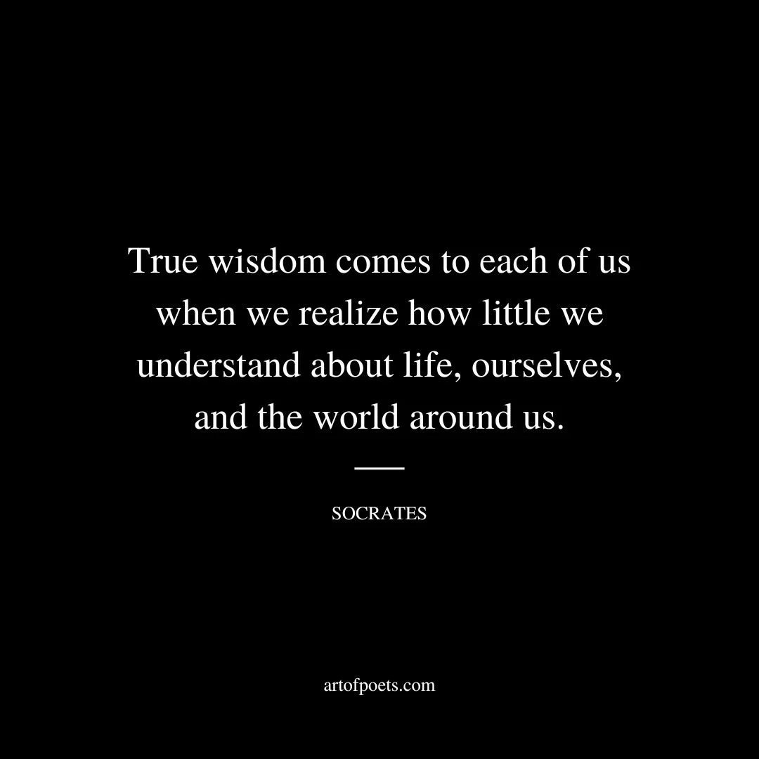 True wisdom comes to each of us when we realize how little we understand about life, ourselves, and the world around us. - Socrates
