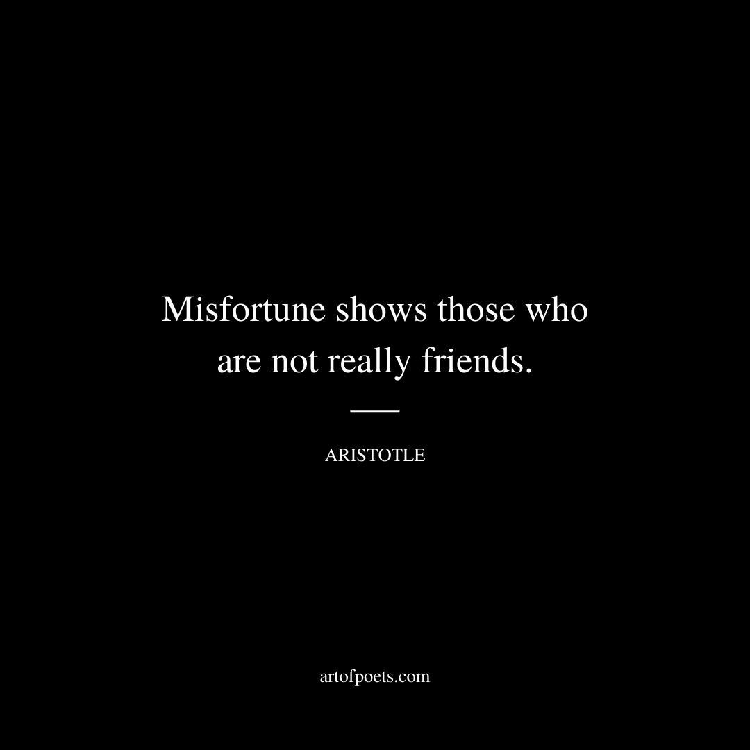 Misfortune shows those who are not really friends. - Aristotle