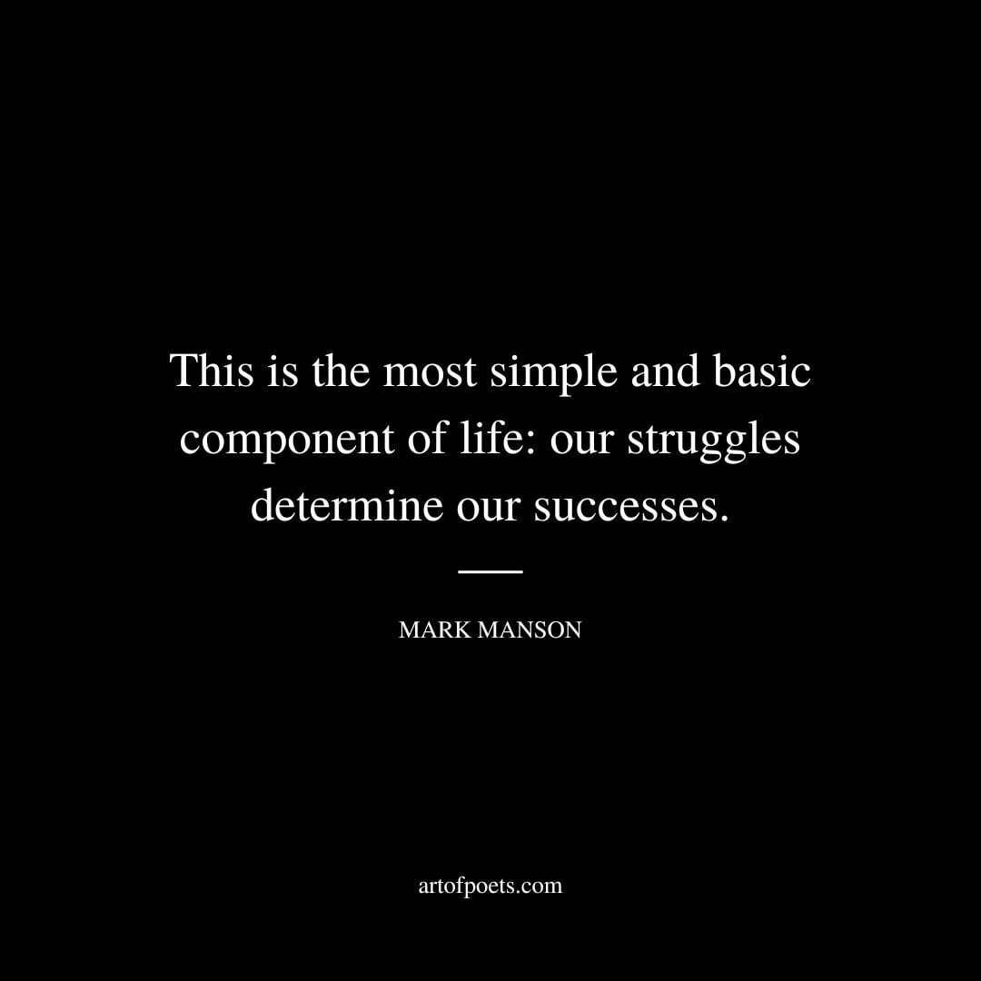 This is the most simple and basic component of life: our struggles determine our successes. - Mark Manson