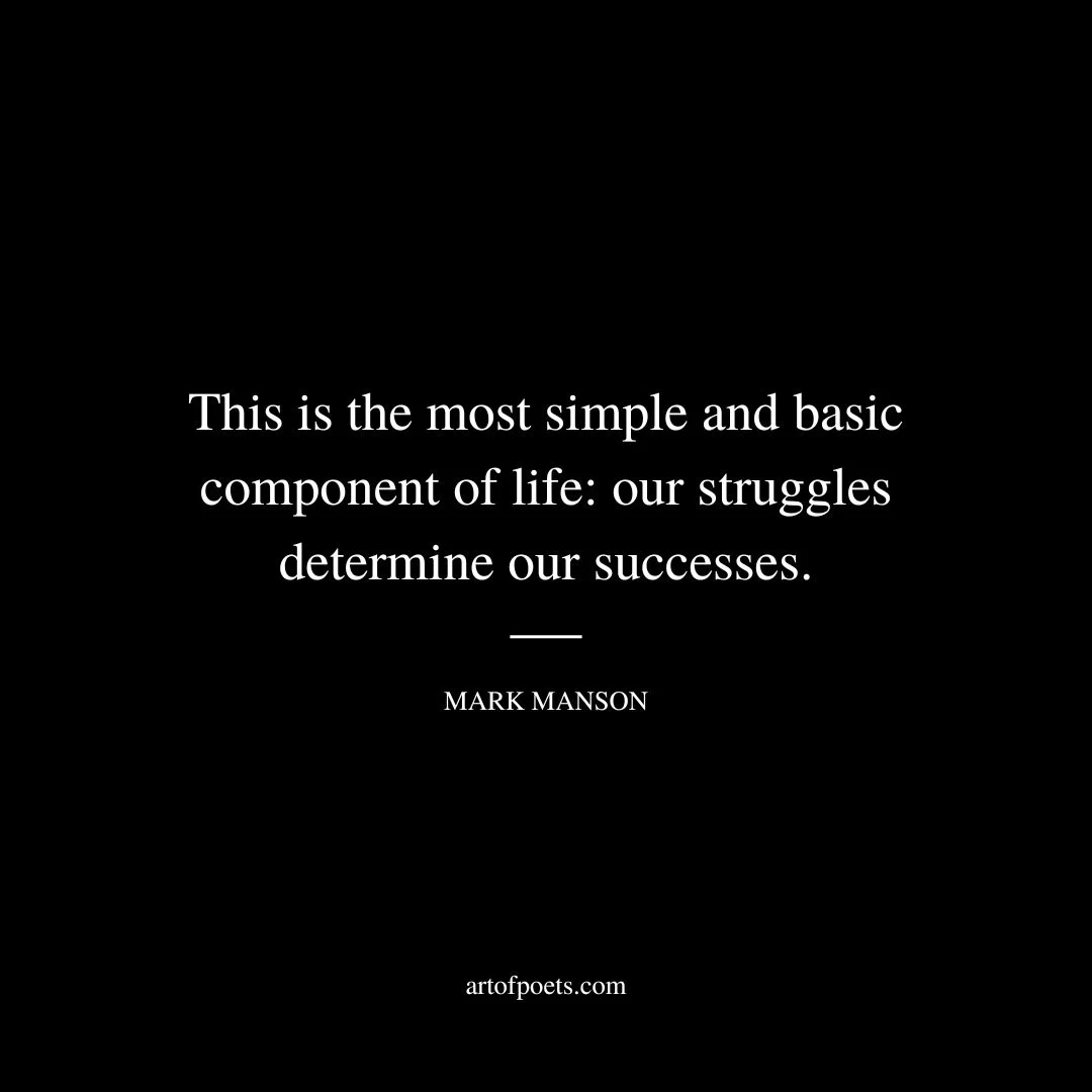 This is the most simple and basic component of life: our struggles determine our successes. - Mark Manson