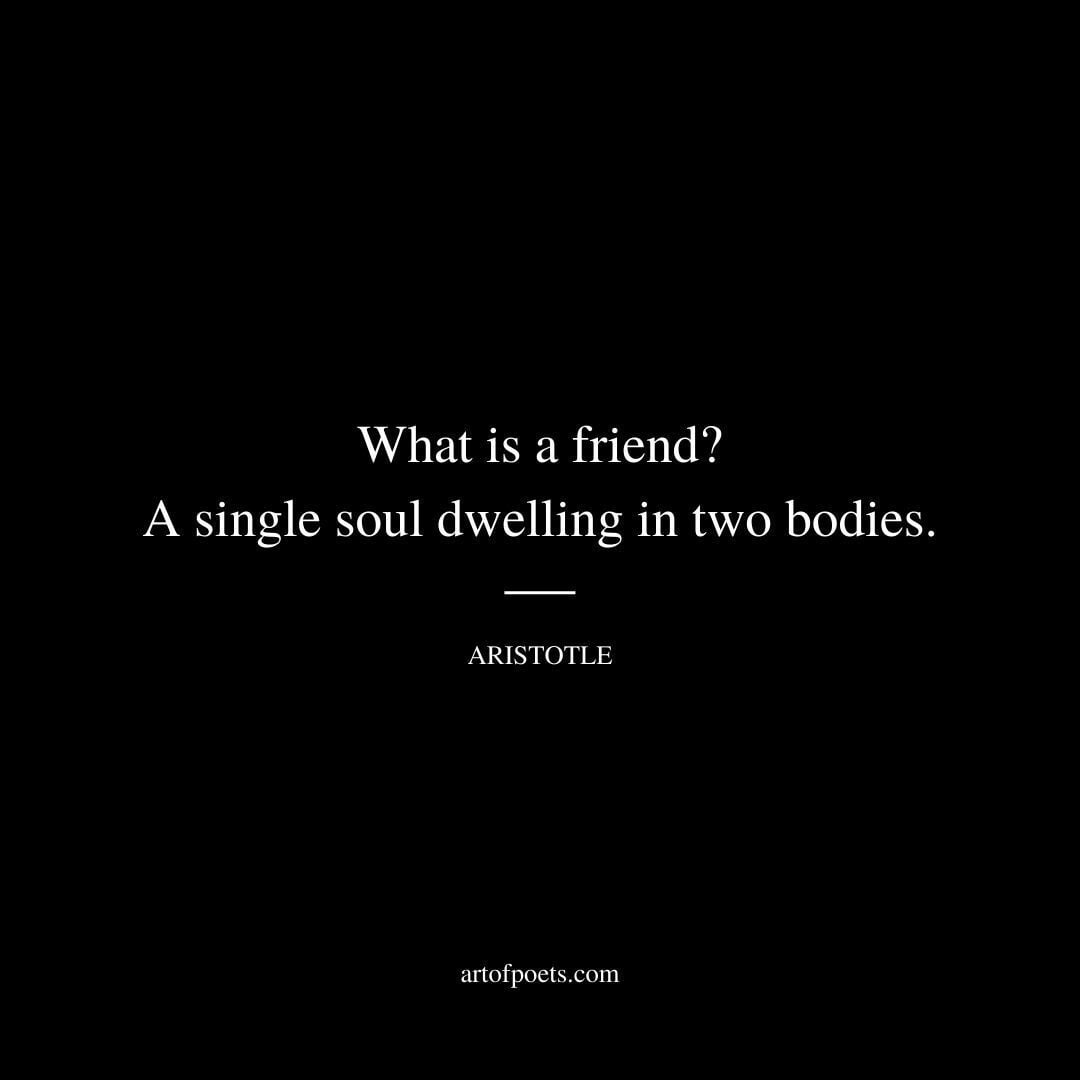 What is a friend? A single soul dwelling in two bodies. - Aristotle