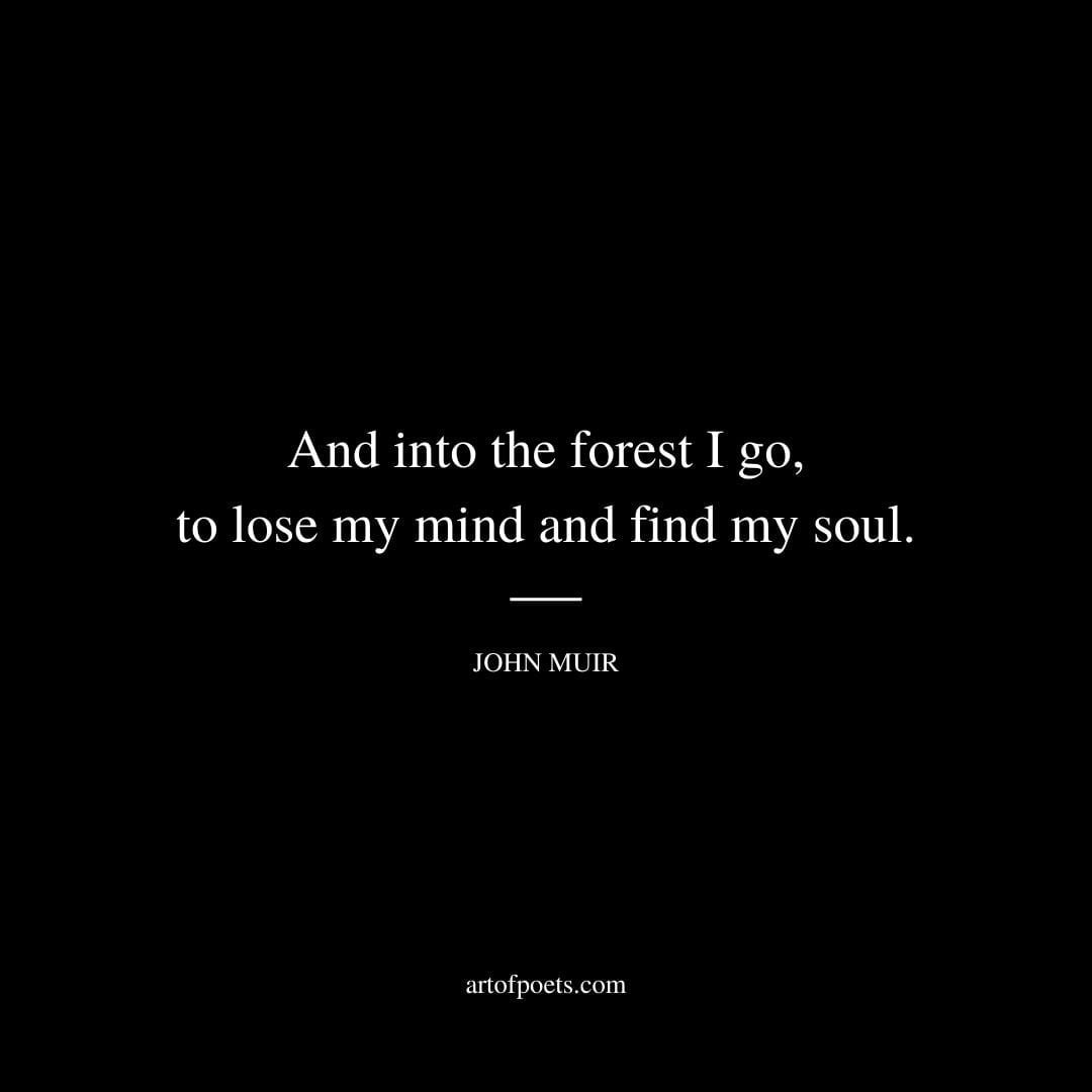 And into the forest I go to lose my mind and find my soul. – John Muir