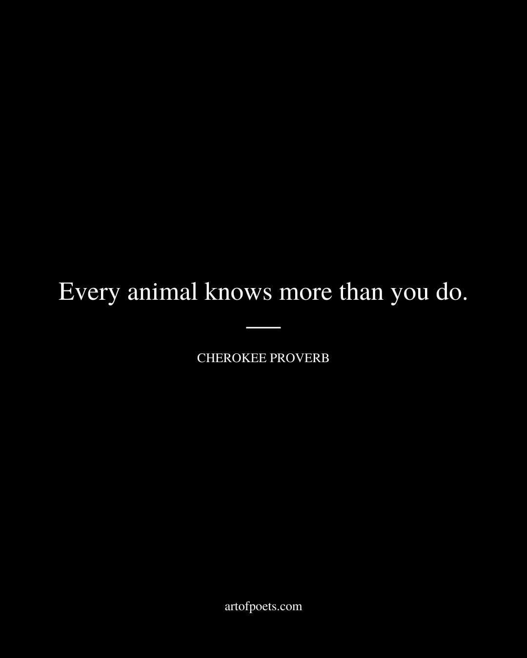 Every animal knows more than you do