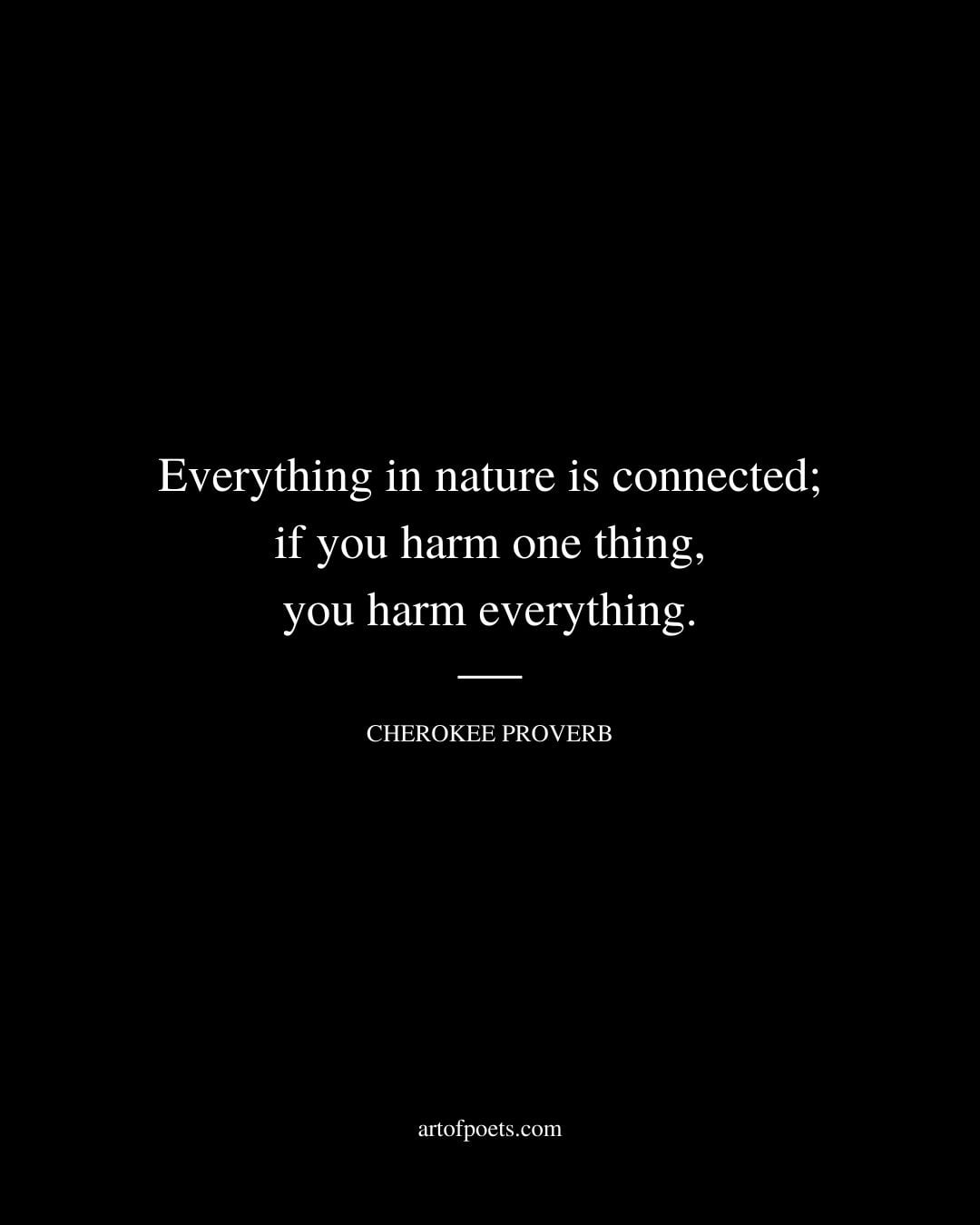 Everything in nature is connected if you harm one thing you harm everything
