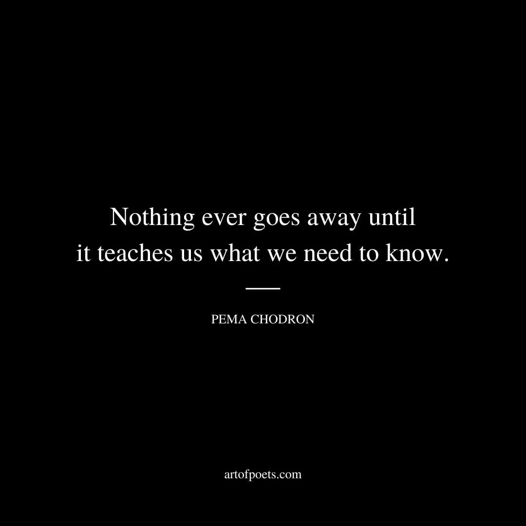 Nothing ever goes away until it teaches us what we need to know. – Pema Chodron