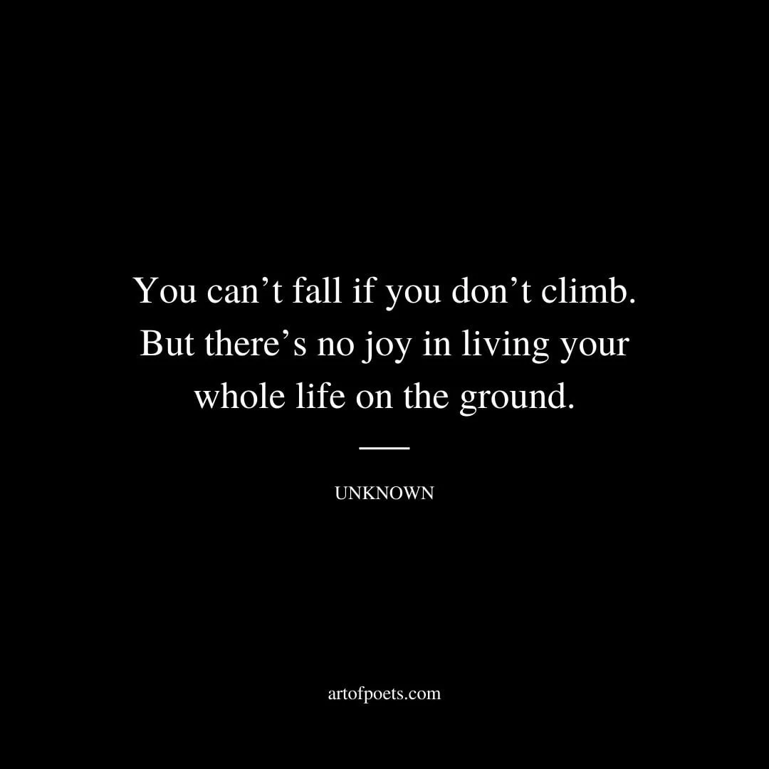 You cant fall if you dont climb. But theres no joy in living your whole life on the ground. –Unknown