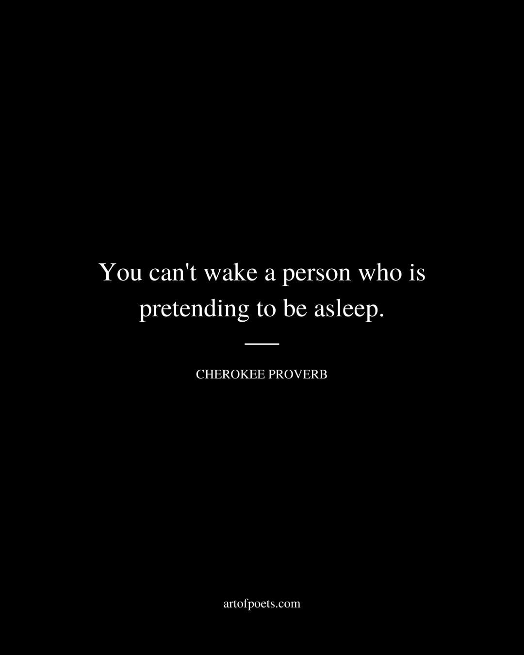 You cant wake a person who is pretending to be asleep
