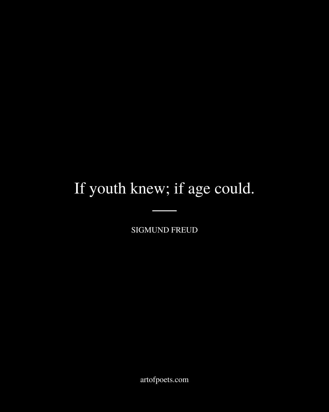 If youth knew if age could