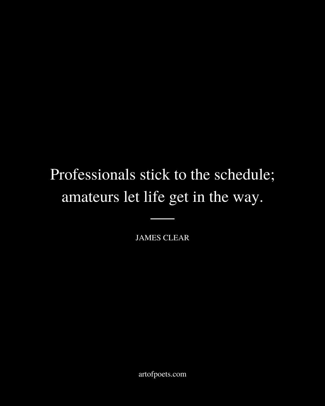 Professionals stick to the schedule amateurs let life get in the way