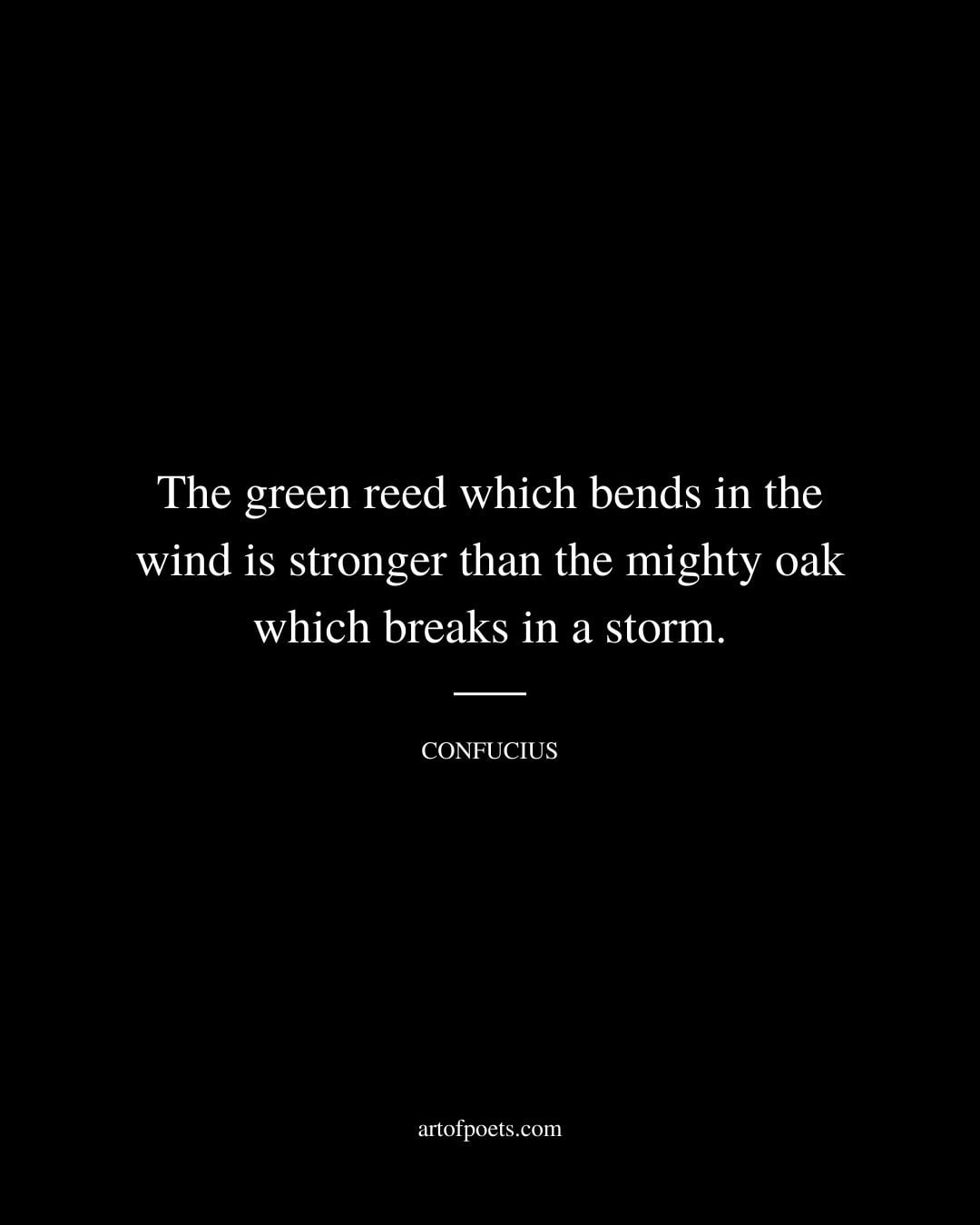 The green reed which bends in the wind is stronger than the mighty oak which breaks in a storm