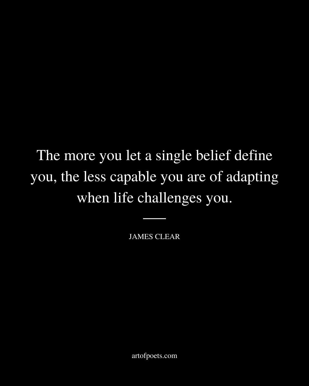 The more you let a single belief define you the less capable you are of adapting when life challenges you