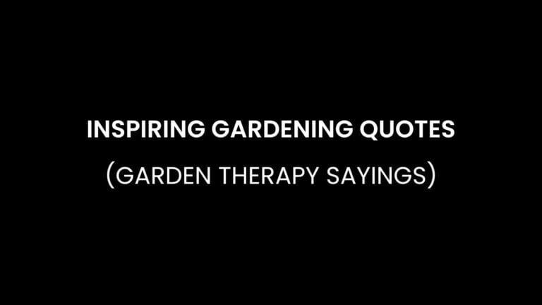 Inspiring Gardening Quotes (Garden Therapy Sayings) (1)