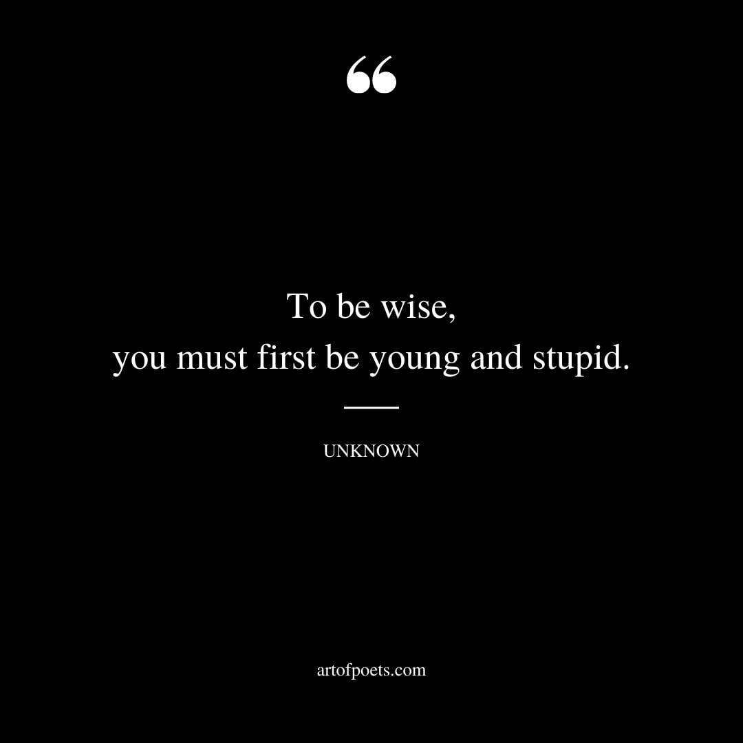 To be wise you must first be young and stupid