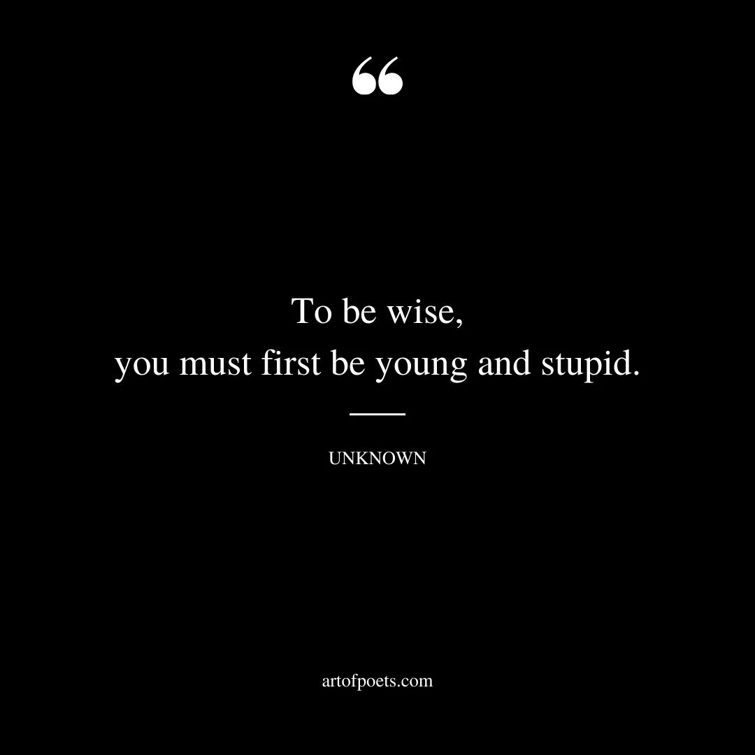 To be wise you must first be young and stupid