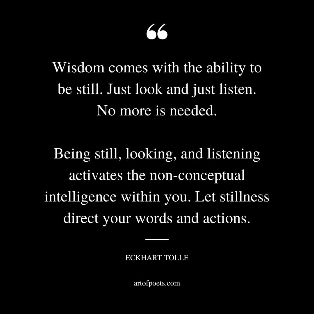 Wisdom comes with the ability to be still. Just look and just listen. No more is needed