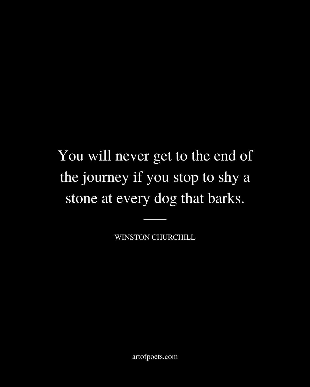 You will never get to the end of the journey if you stop to shy a stone at every dog that barks