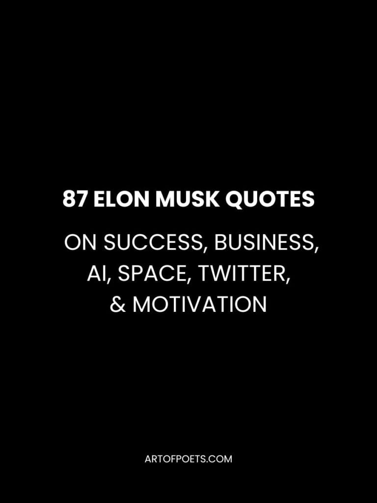87 Elon Musk Quotes on Success Business AI Space Twitter Motivation