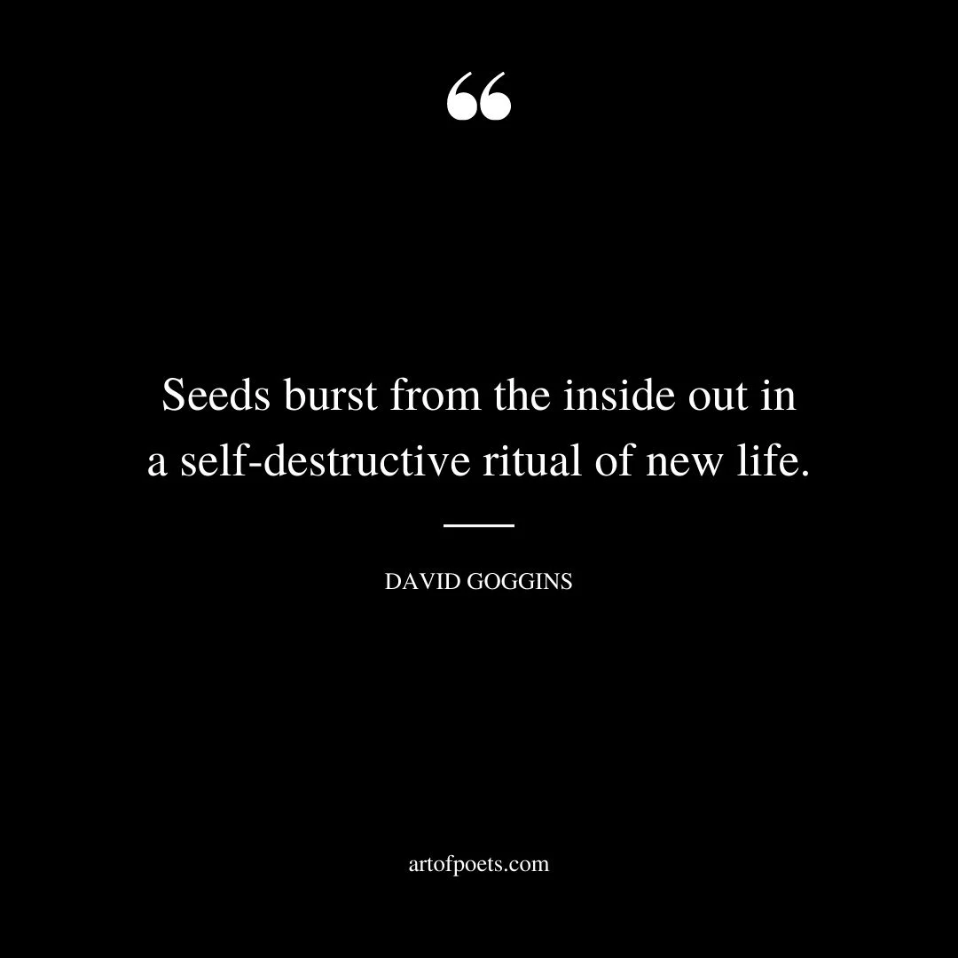 Seeds burst from the inside out in a self destructive ritual of new life