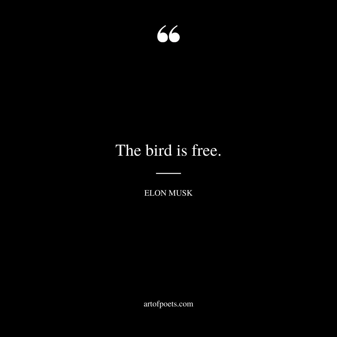 The bird is free