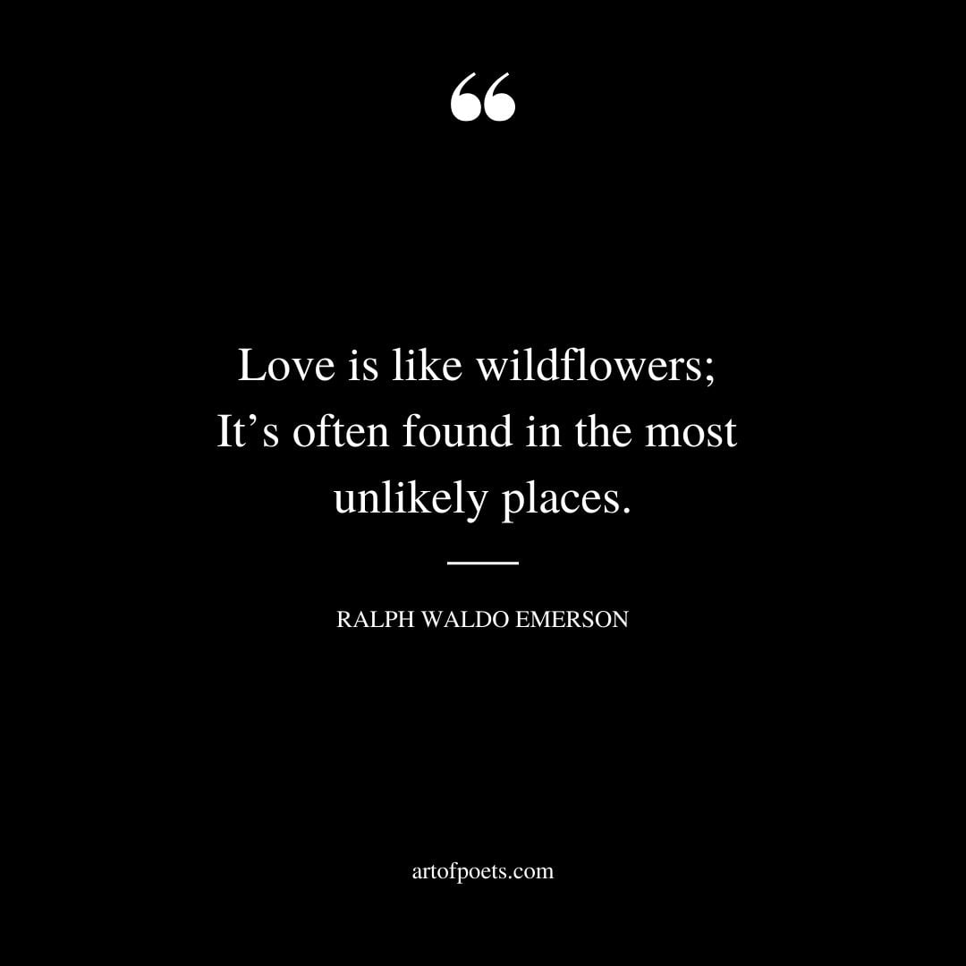 Love is like wildflowers Its often found in the most unlikely places