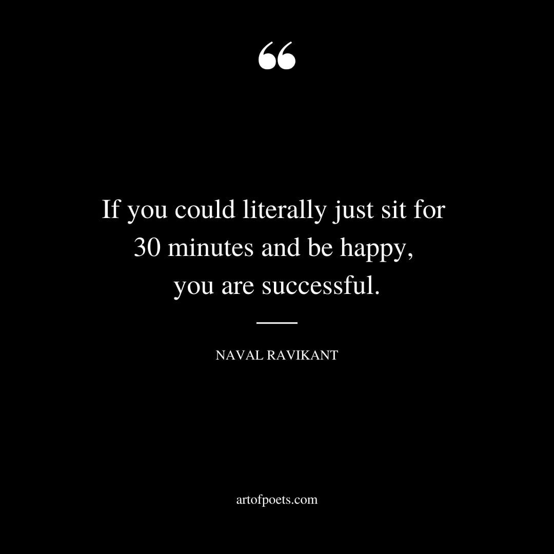 If you could literally just sit for 30 minutes and be happy you are successful