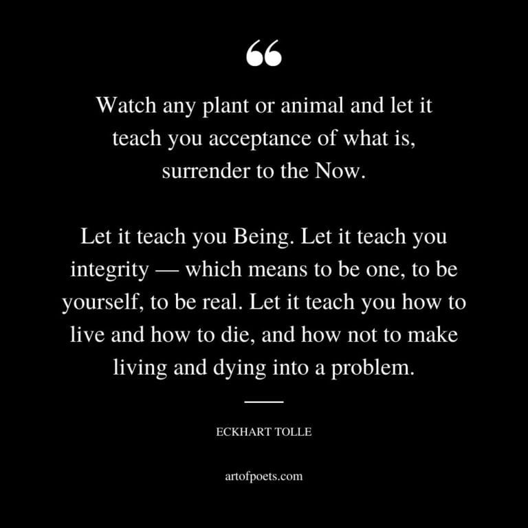 53-eckhart-tolle-quotes-on-life-love-happiness-letting-go-the