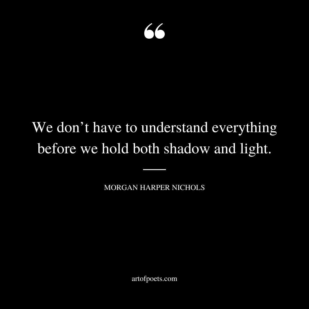 We dont have to understand everything before we hold both shadow and light