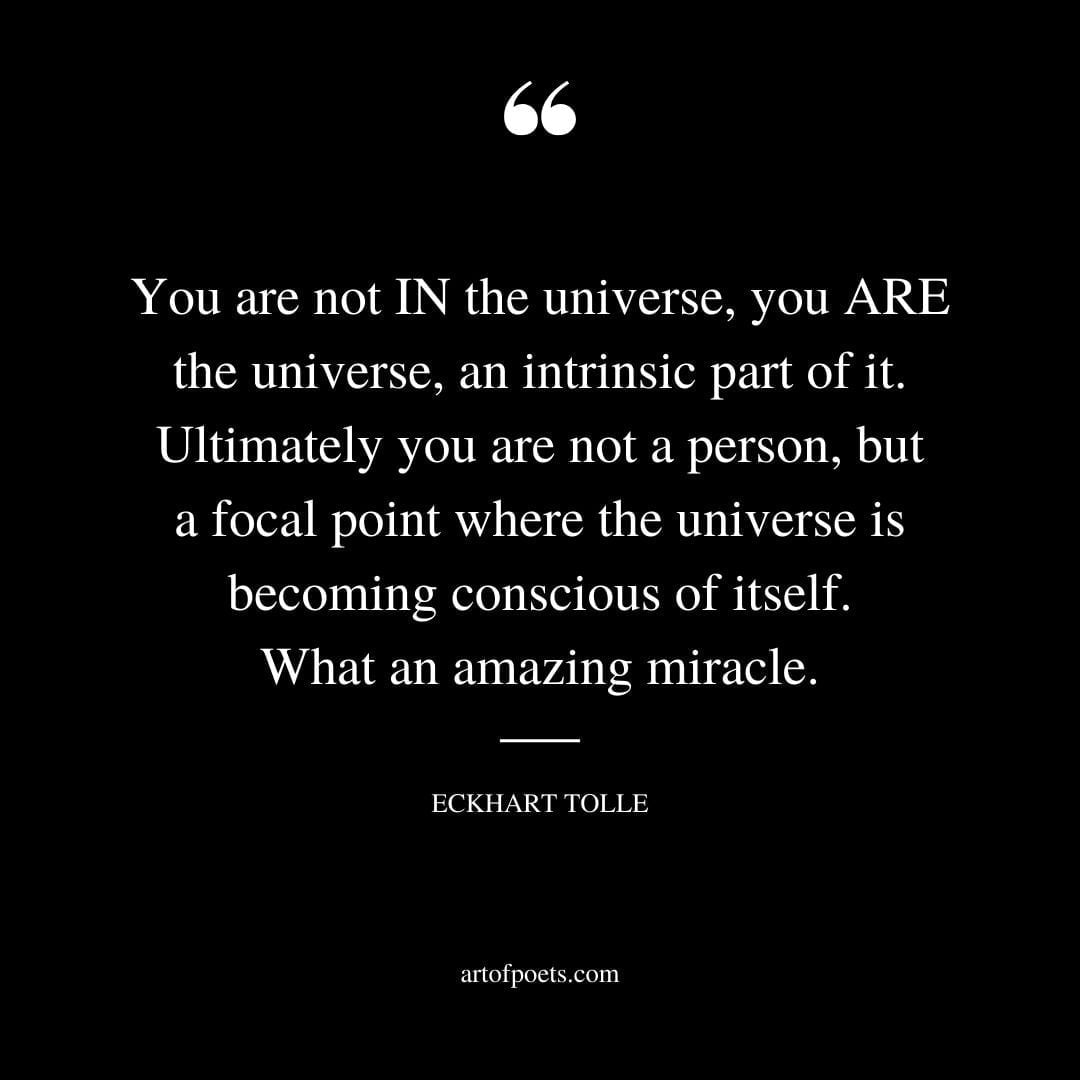 You are not IN the universe you ARE the universe an intrinsic part of it. Ultimately you are not a person but a focal point where the universe