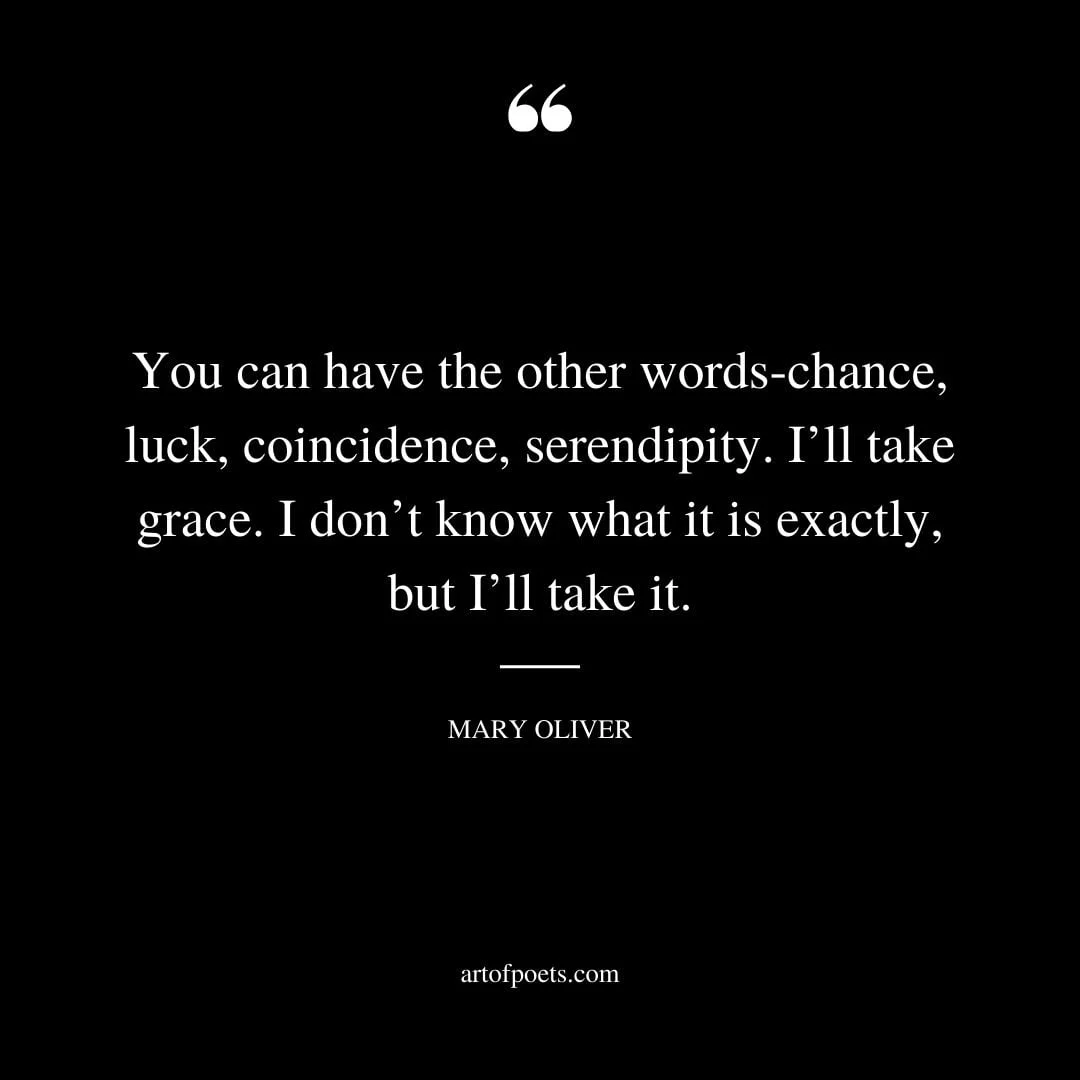 You can have the other words chance luck coincidence serendipity. Ill take grace. I dont know what it is exactly but Ill take it