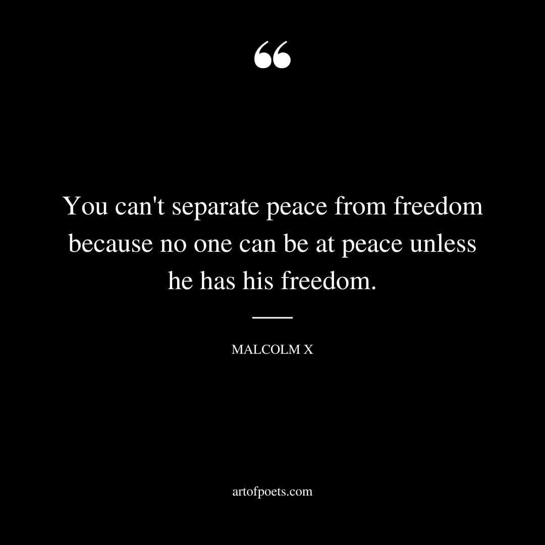 You cant separate peace from freedom because no one can be at peace unless he has his freedom. –Malcolm X