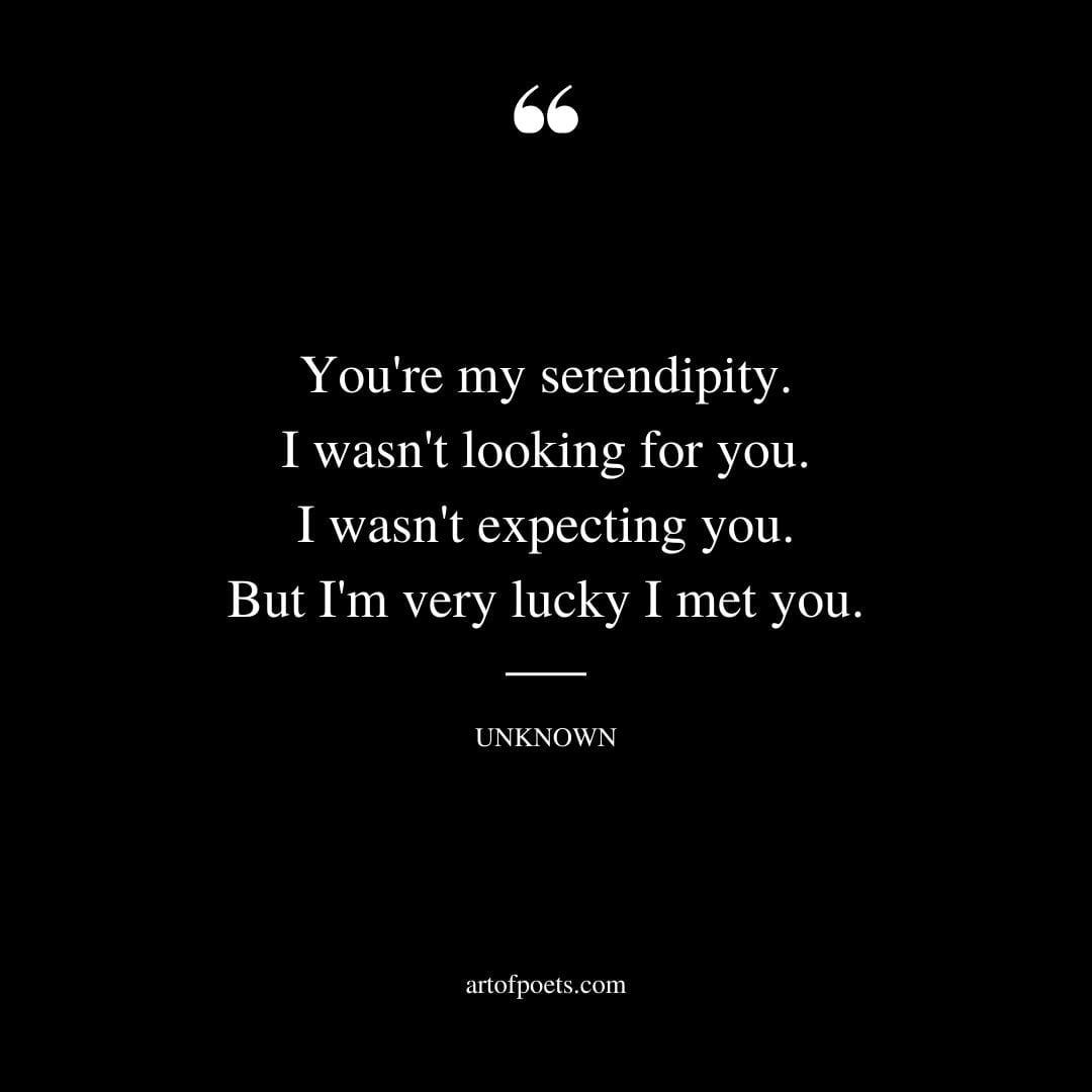 Youre my serendipity. I wasnt looking for you. I wasnt expecting you. But Im very lucky I met you