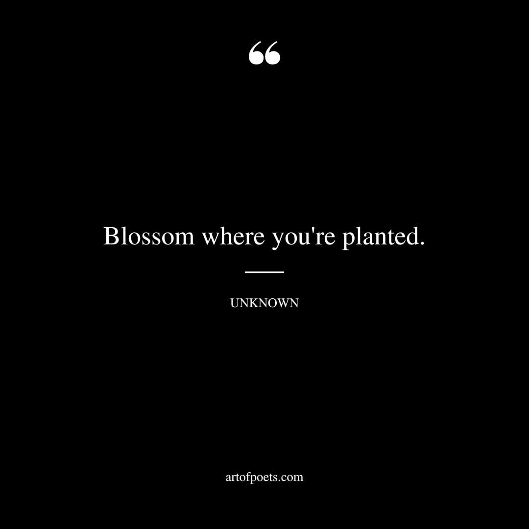 Blossom where youre planted