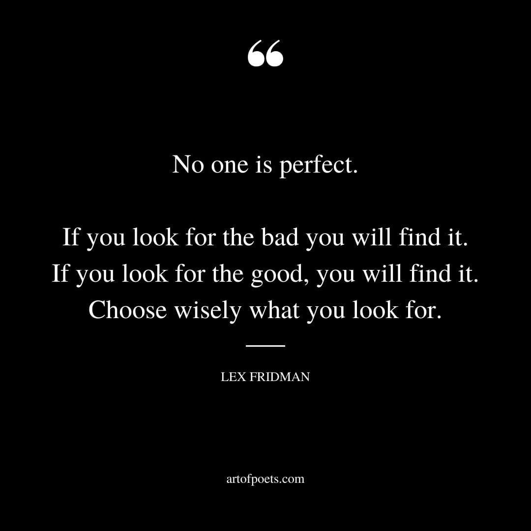 No one is perfect. If you look for the bad you will find it. If you look for the good you will find it. Choose wisely what you look for. – Lex Fridman