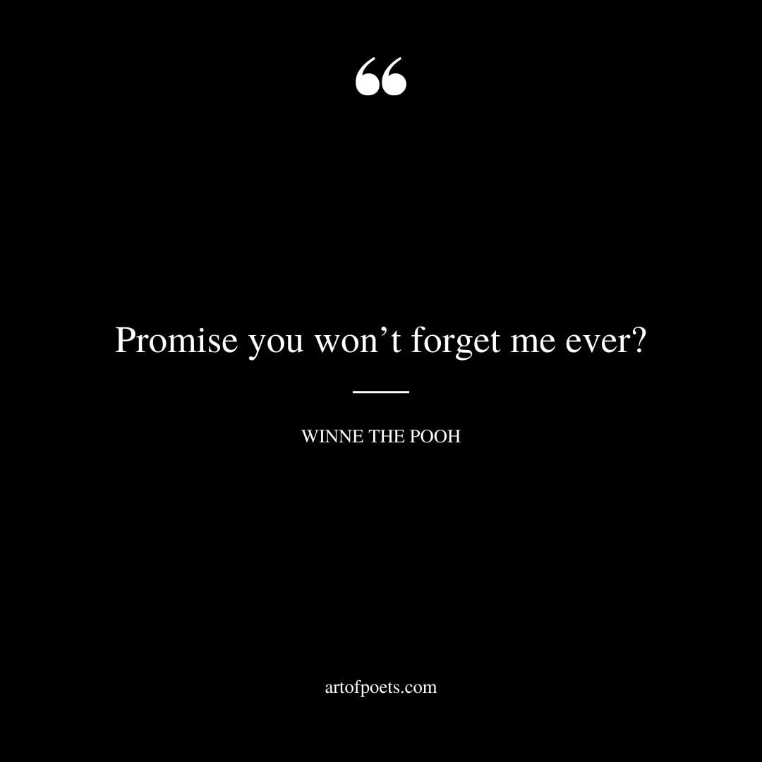 Promise you wont forget me ever