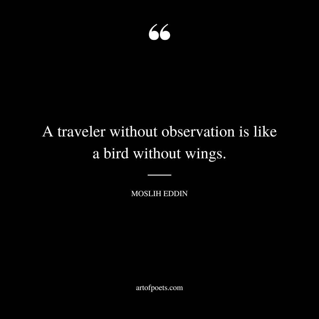A traveler without observation is like a bird without wings