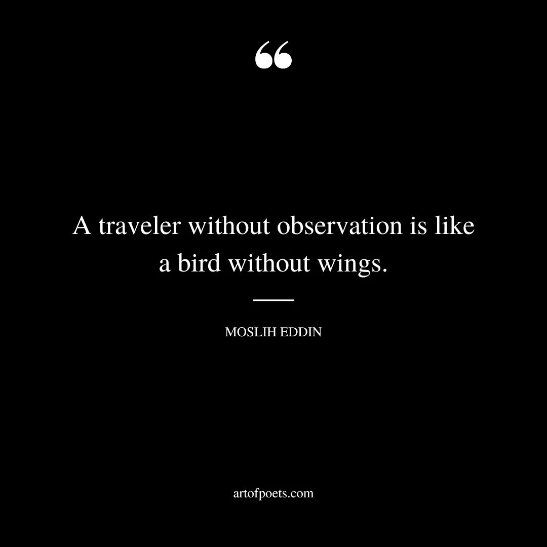 A traveler without observation is like a bird without wings