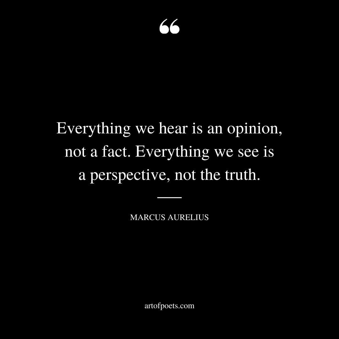 Everything we hear is an opinion not a fact. Everything we see is a perspective not the truth