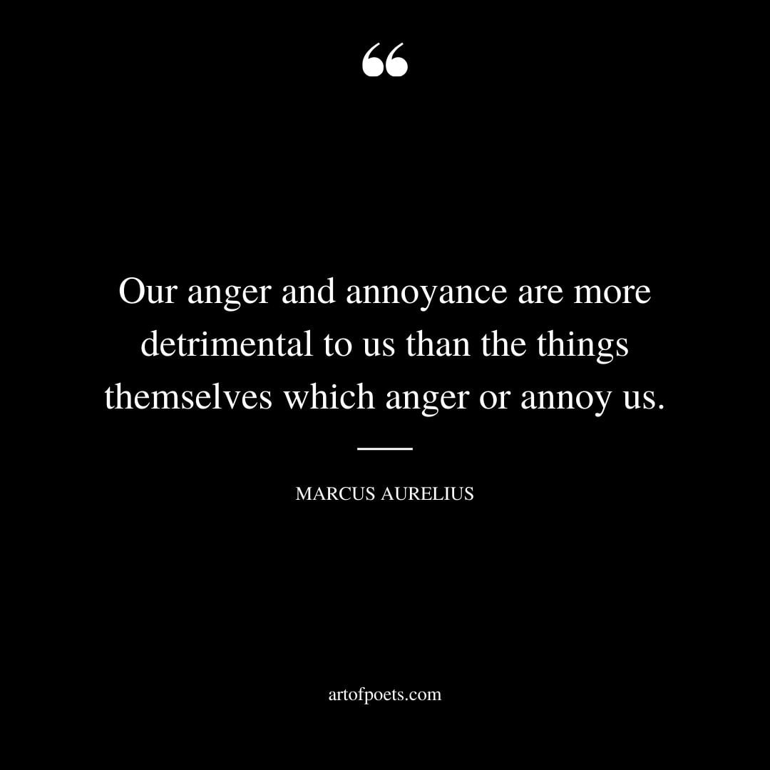 Our anger and annoyance are more detrimental to us than the things themselves which anger or annoy us