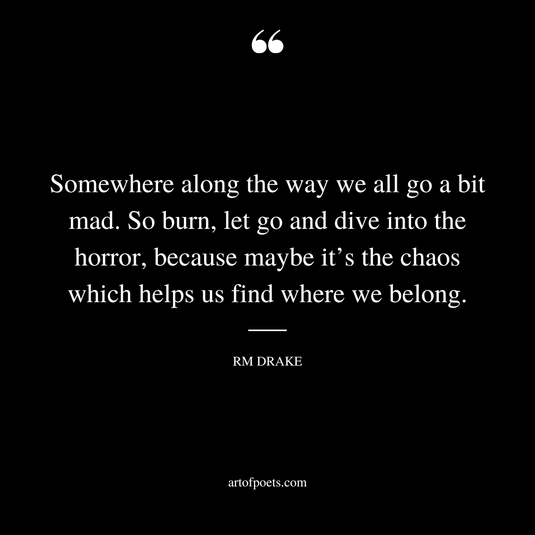 Somewhere along the way we all go a bit mad. So burn let go and dive into the horror because maybe its the chaos which helps us find where we belong