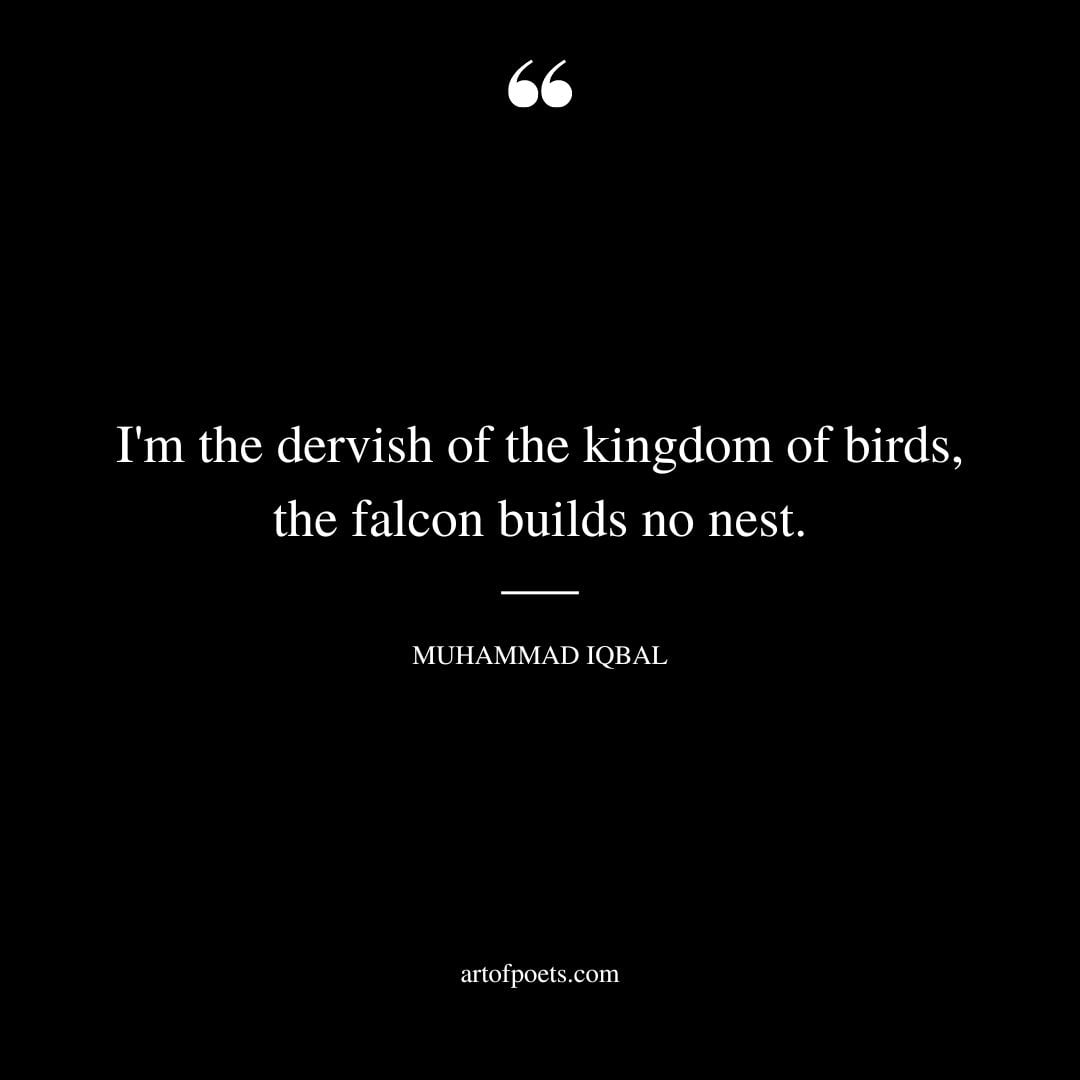 Im the dervish of the kingdom of birds the falcon builds no nest