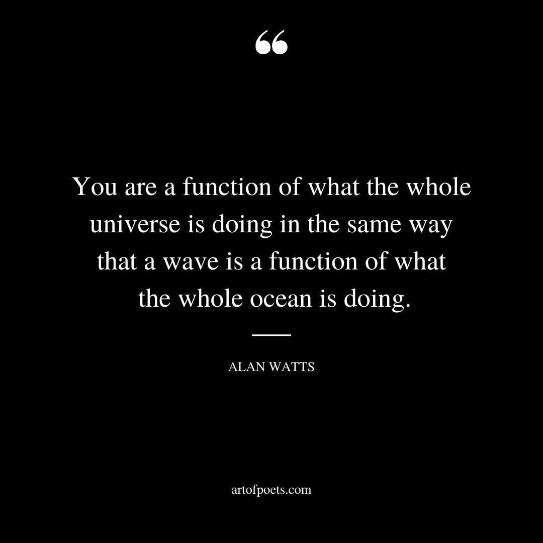 You are a function of what the whole universe is doing in the same way that a wave is a function of what the whole ocean is doing