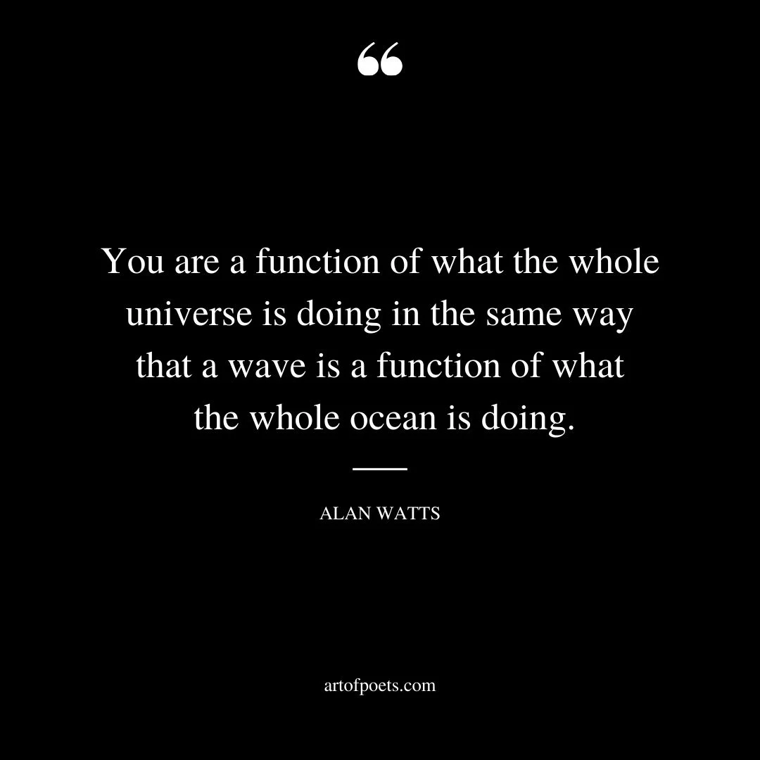 You are a function of what the whole universe is doing in the same way that a wave is a function of what the whole ocean is doing