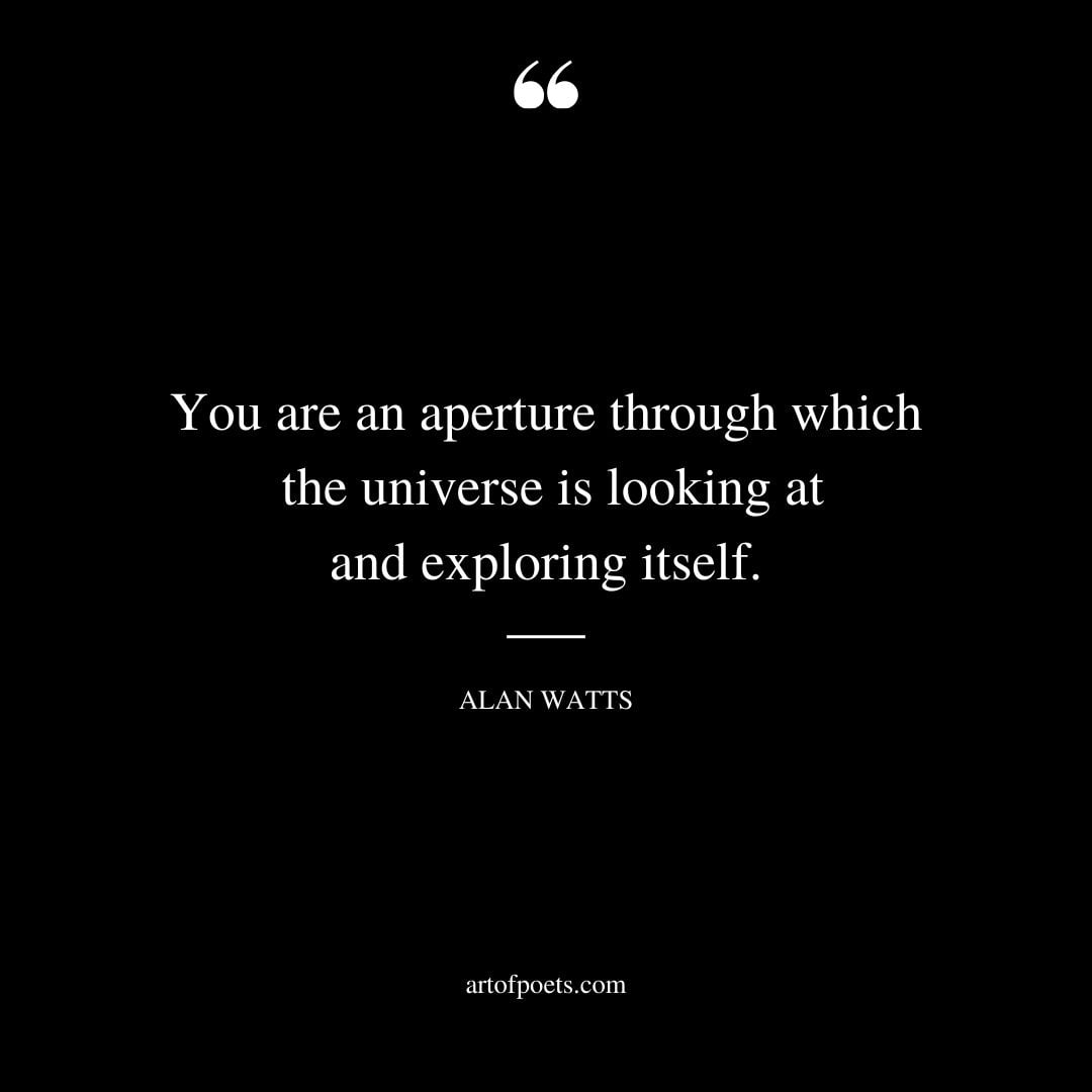 You are an aperture through which the universe is looking at and exploring itself