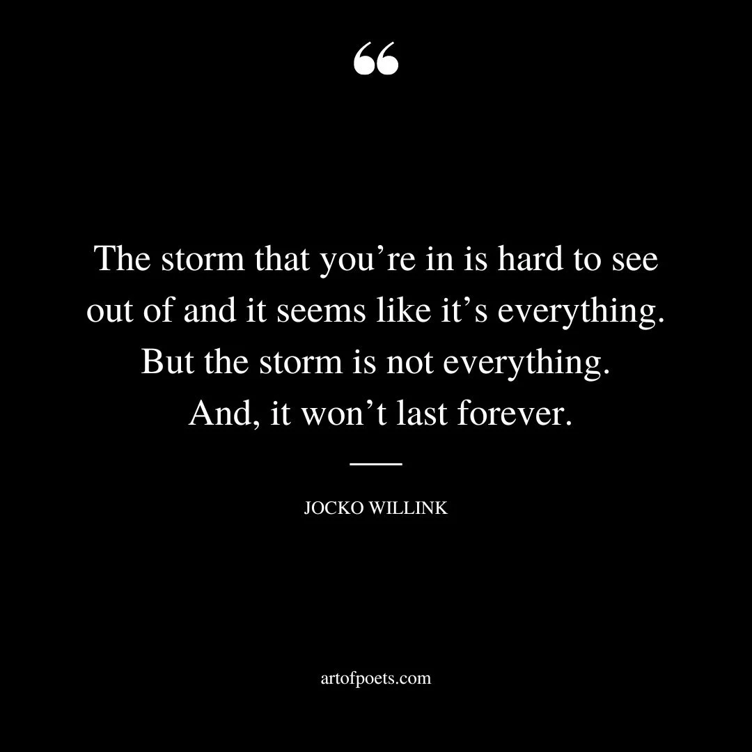 The storm that youre in is hard to see out of and it seems like its everything. But the storm is not everything. And it wont last forever