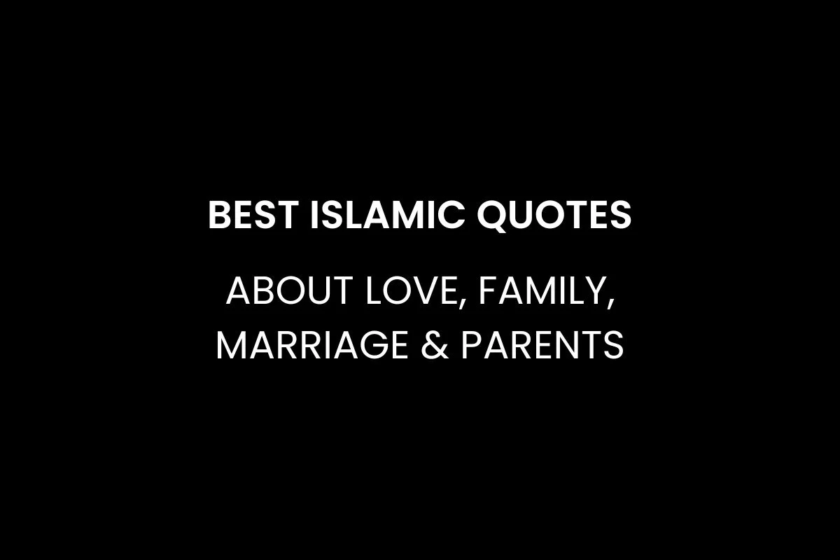 15 Best Sus Quotes Funny Sus Quotes 