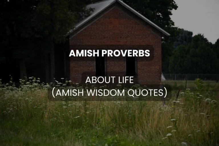 Amish Proverbs About Life (Amish Wisdom Quotes)