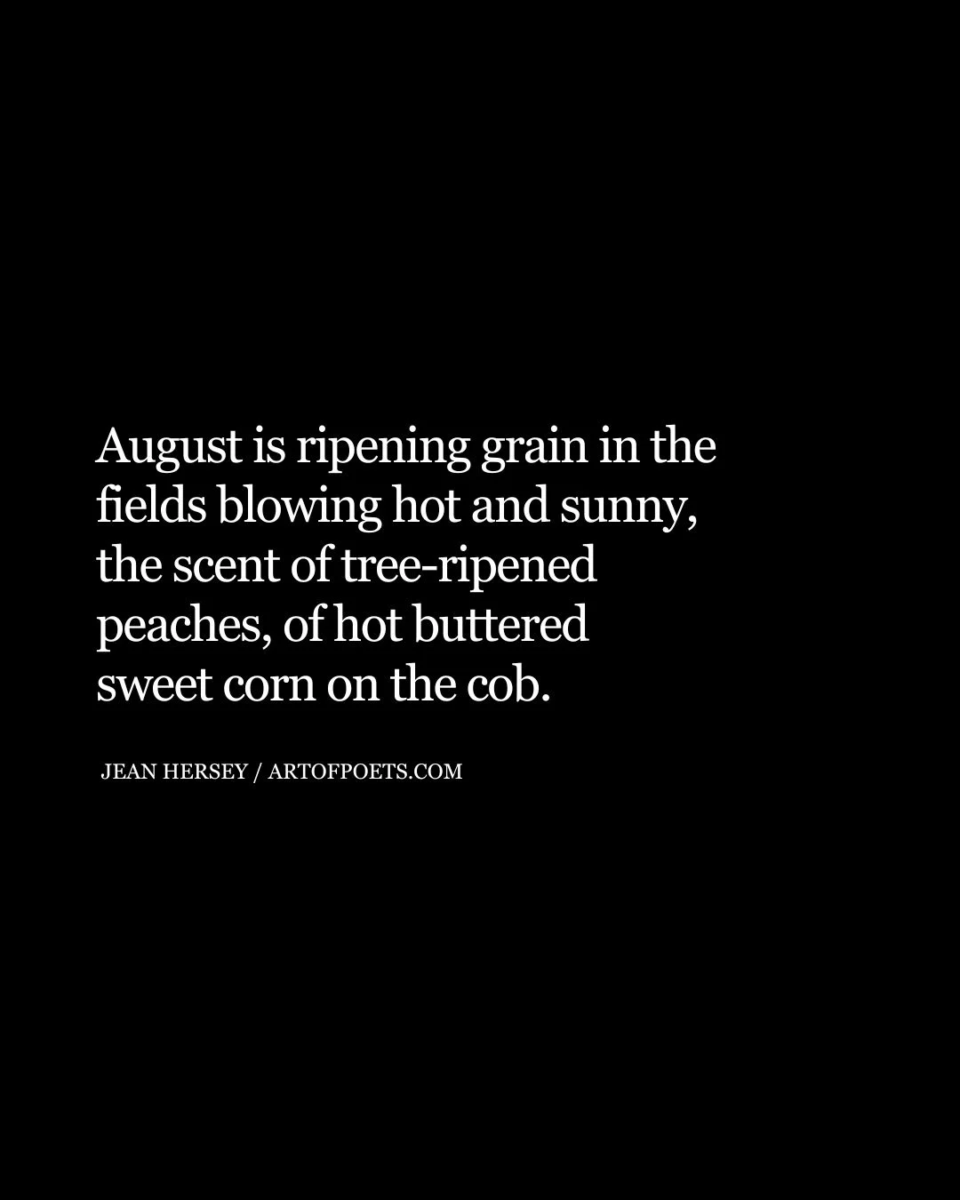 August is ripening grain in the fields blowing hot and sunny the scent of tree ripened peaches of hot buttered sweet corn on the cob