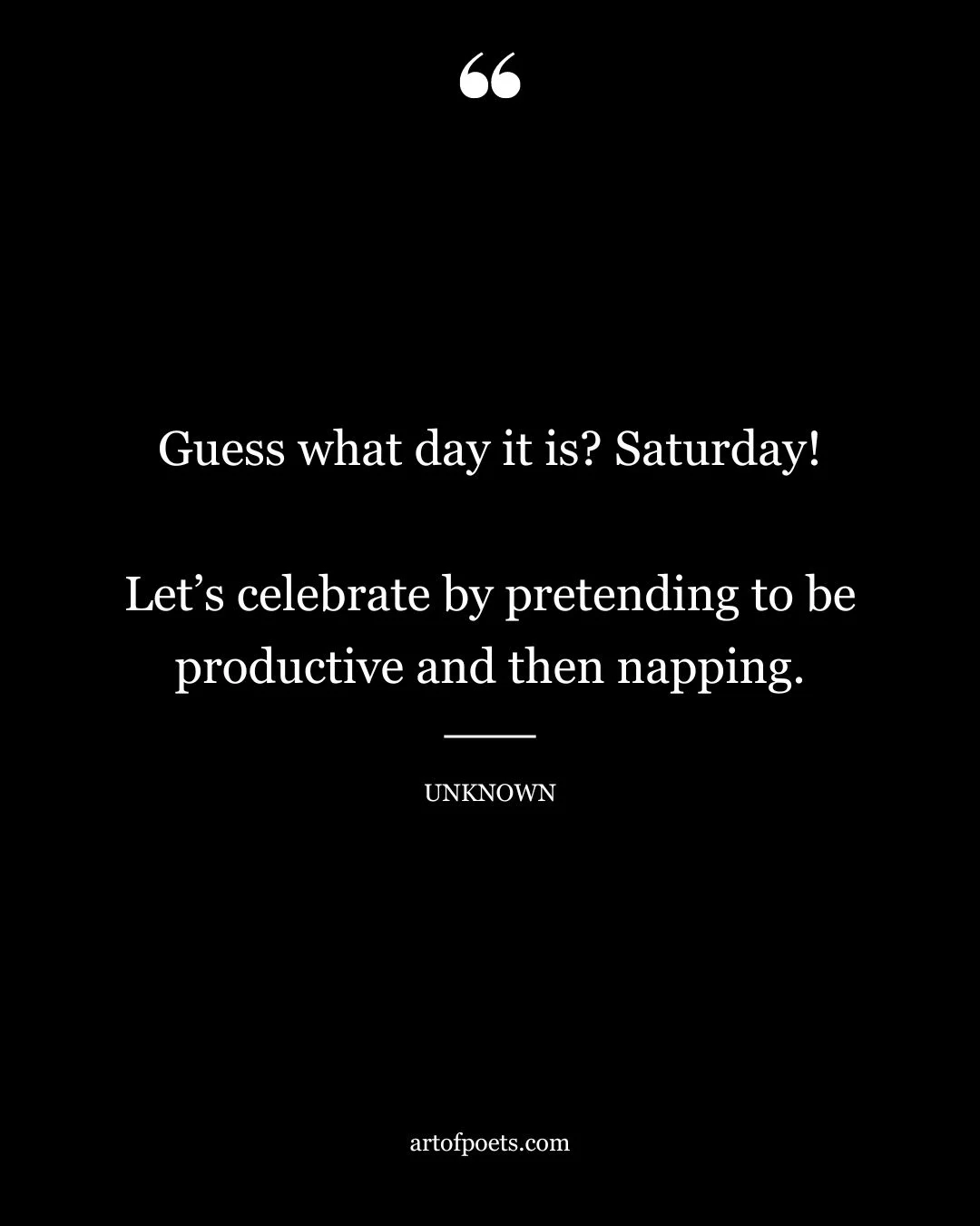 Guess what day it is Saturday Lets celebrate by pretending to be productive and then napping